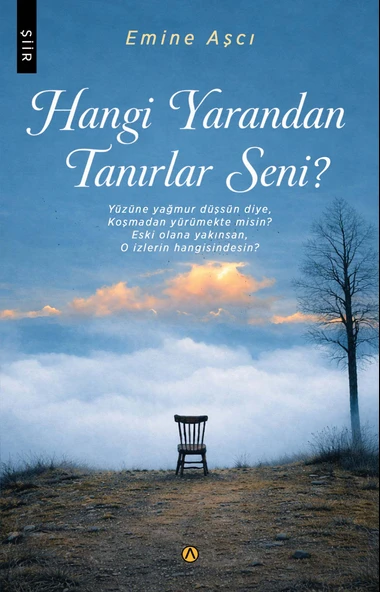 Hangi Yarandan Tanırlar Seni? - Emine Aşçı ürün görseli 1