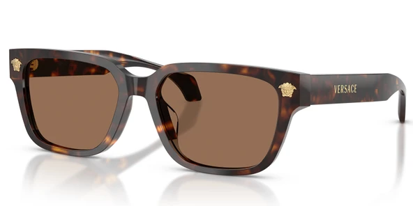 Versace VE4513D 108/73 56 Erkek Güneş Gözlüğü ürün görseli 1