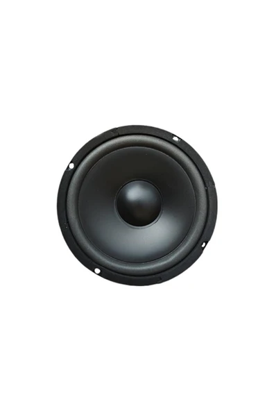 Pawer 16 cm Çıplak Hoparlör 6.5" - PW-16.2 ürün görseli 1