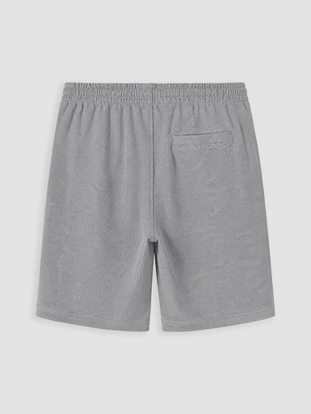 LCW Vision Gri Regular Fit Erkek Şort - Resim 3