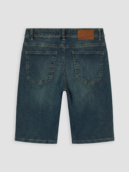LCW Jeans Yeşil Regular Fit Erkek Jean Şort - Resim 7
