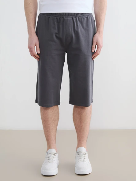LCWAIKIKI Classic Gri Regular Fit Erkek Şort - Resim 2