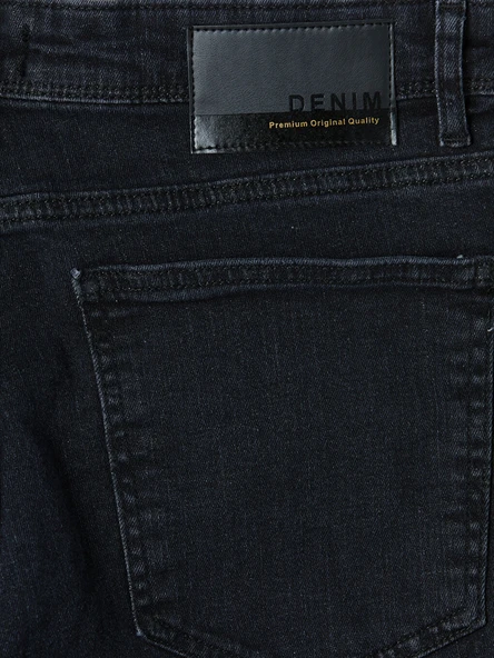 LCW Jeans Antrasit Regular Fit Erkek Jean Şort - Resim 8