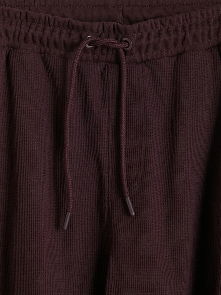 LCWAIKIKI Classic Mürdüm Regular Fit Erkek Şort - Resim 7