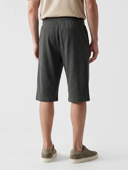 LCWAIKIKI Classic Antrasit Regular Fit Erkek Şort - Resim 3