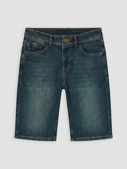 LCW Jeans Yeşil Regular Fit Erkek Jean Şort - Resim 5