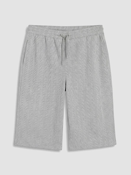 LCWAIKIKI Classic Gri Regular Fit Erkek Şort - Resim 4