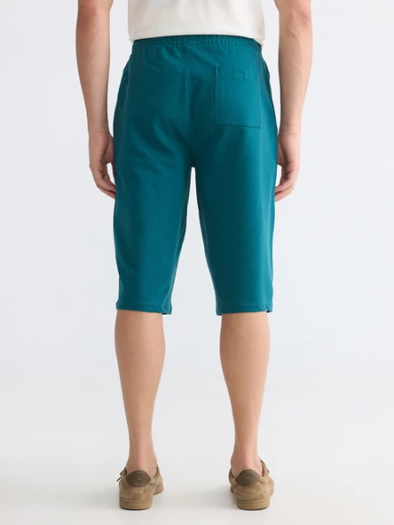 LCWAIKIKI Classic Petrol Regular Fit Erkek Şort - Resim 4