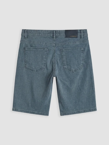 LCW Jeans Gri Regular Fit Erkek Jean Şort - Resim 6