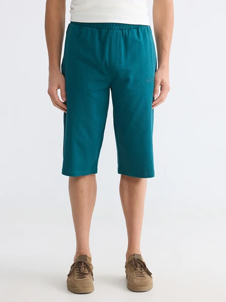 LCWAIKIKI Classic Petrol Regular Fit Erkek Şort - Resim 2