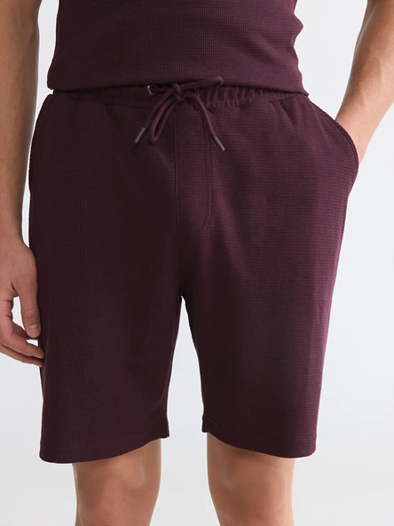 LCWAIKIKI Classic Mürdüm Regular Fit Erkek Şort - Resim 3