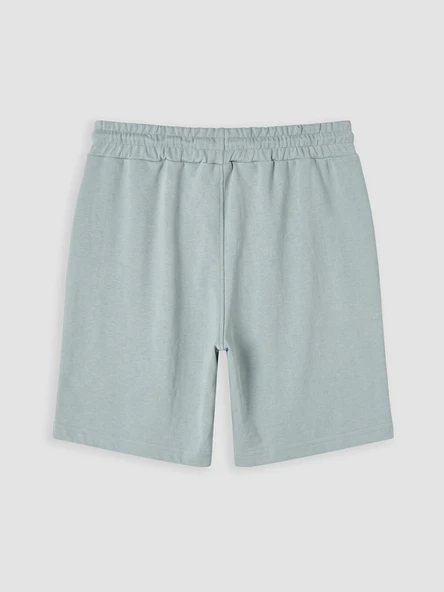 LCWAIKIKI Classic Yeşil Regular Fit Erkek Şort - Resim 4