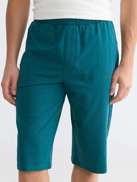 LCWAIKIKI Classic Petrol Regular Fit Erkek Şort - Resim 3