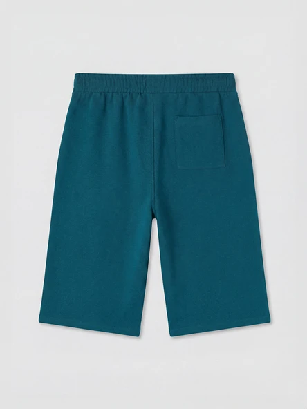 LCWAIKIKI Classic Petrol Regular Fit Erkek Şort - Resim 6