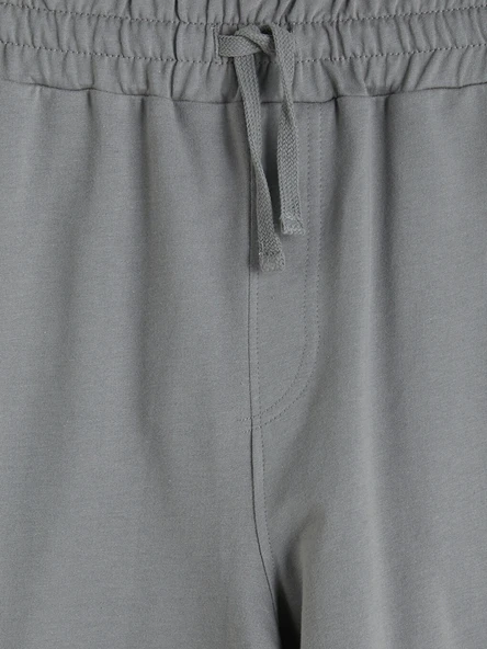 LCWAIKIKI Classic Gri Regular Fit Erkek Şort - Resim 2