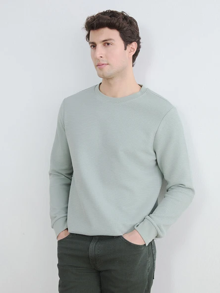 LCWAIKIKI Classic Yeşil Bisiklet Yaka Erkek Sweatshirt ürün görseli 1