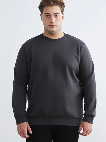 LCWAIKIKI Classic Antrasit Büyük Beden Bisiklet Yaka Erkek Sweatshirt ürün görseli 1