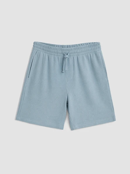 LCW Vision Mavi Regular Fit Erkek Şort ürün görseli 1