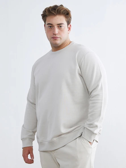 LCW Vision Bej Bisiklet Yaka Erkek Kalın Sweatshirt ürün görseli 1