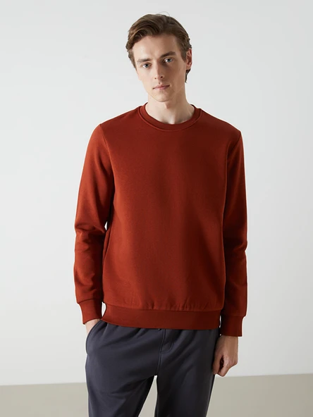 LCWAIKIKI Basic Kahverengi Bisiklet Yaka Uzun Kollu Erkek Sweatshirt ürün görseli 1