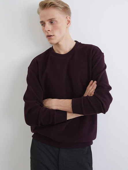 LCW Vision Kahverengi Bisiklet Yaka Erkek Sweatshirt ürün görseli 1