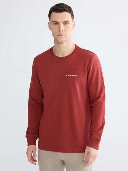LCWAIKIKI Classic Kahverengi Bisiklet Yaka Baskılı Erkek Sweatshirt ürün görseli 1