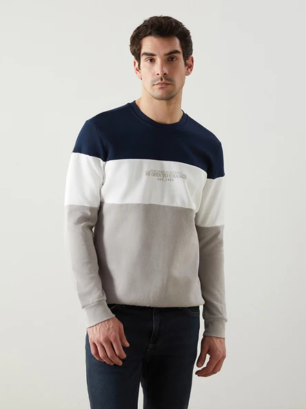 LCWAIKIKI Classic Bej Bisiklet Yaka Uzun Kollu Renk Bloklu Erkek Sweatshirt ürün görseli 1