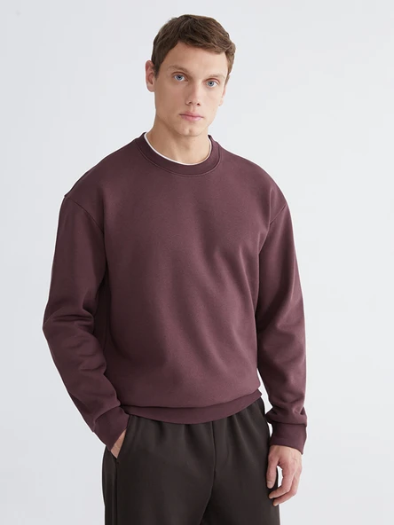 LCW Vision Mürdüm Bisiklet Yaka Erkek Kalın Sweatshirt ürün görseli 1