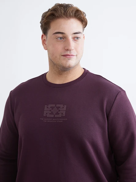 LCWAIKIKI Classic Mürdüm Bisiklet Yaka Baskılı Erkek Sweatshirt ürün görseli 1