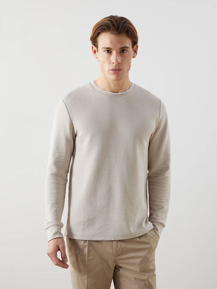 LCWAIKIKI Classic Bej Bisiklet Yaka Uzun Kollu Erkek Sweatshirt ürün görseli 1