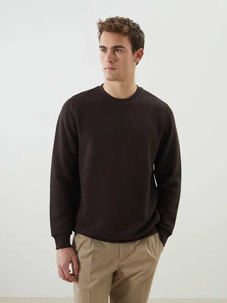 LCW Vision Kahverengi Bisiklet Yaka Uzun Kollu Erkek Sweatshirt ürün görseli 1