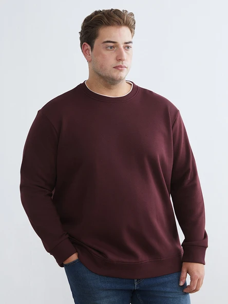 LCW Vision Bordo Bisiklet Yaka Erkek Kalın Sweatshirt ürün görseli 1