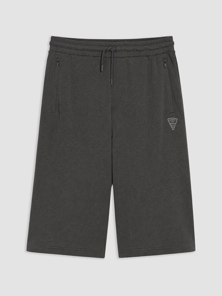 LCWAIKIKI Classic Antrasit Regular Fit Erkek Şort ürün görseli 1
