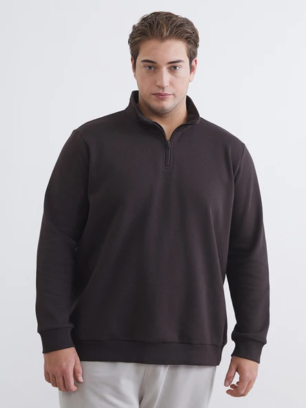 LCWAIKIKI Classic Kahverengi Büyük Beden Dik Yaka Erkek Sweatshirt ürün görseli 1