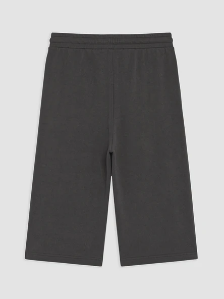 LCWAIKIKI Classic Antrasit Regular Fit Erkek Şort - Resim 2
