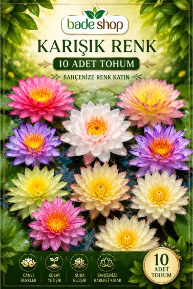 10 Adet Karışık Renk Katmerli Lotus (Nilüfer) Tohumu – Egzotik Su Bahçesi Çiçeği ürün görseli 1