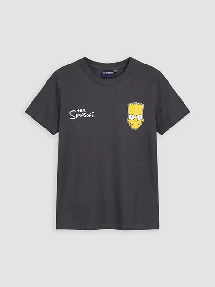 LCW Kids Antrasit Bisiklet Yaka The Simpsons Baskılı Erkek Çocuk Tişört ürün görseli 1