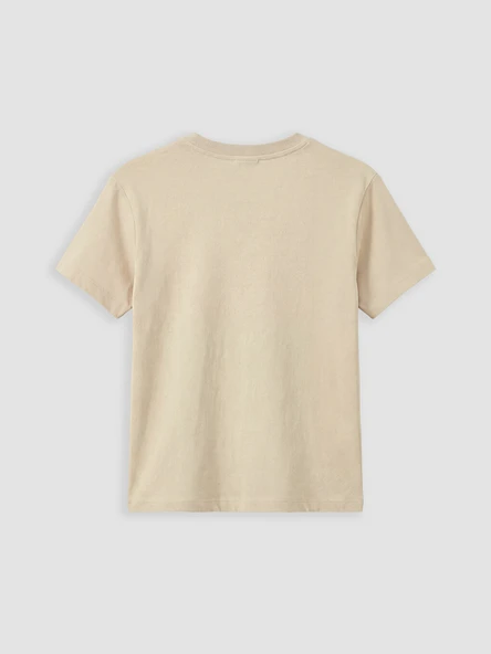 LCW Kids Bej Basic Erkek Çocuk Tişört - Resim 4