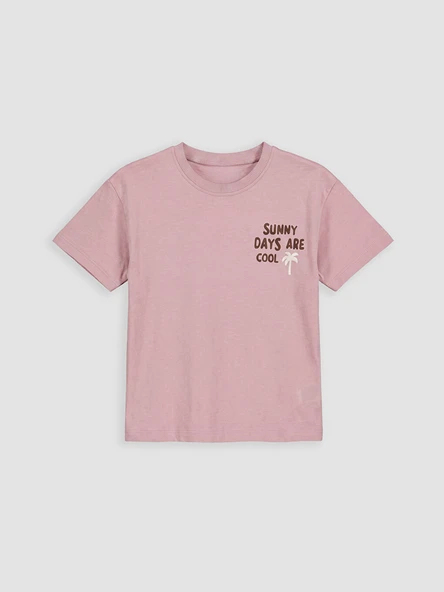 LCW Kids Pembe Bisiklet Yaka Baskılı Erkek Çocuk Tişört ürün görseli 1