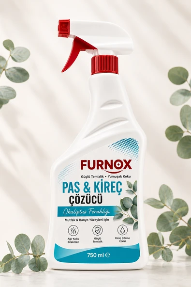 Furnox Pas & Kireç Çözücü 750 ml Okaliptus Ferahlığı ürün görseli 1