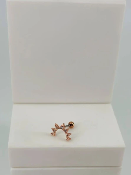 Tragus Kıkırdak Küpesi ürün görseli 1