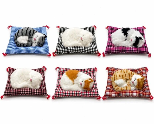 Yastıkta Uyuyan Kedi Sesli Alk24 ürün görseli 1