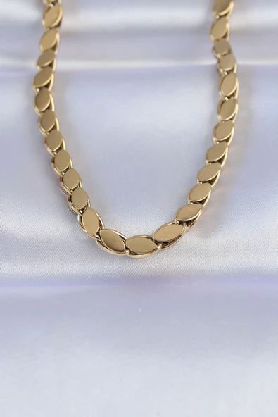 316L Çelik Gold Renk Arpa Model Kolye ürün görseli 1