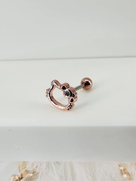 Zirkon Taşlı Uç Kısmı : Pirinç Kıkırdak Bar Uzunluğu : 6 Mm / Bar Kalınlığı 0.8 Mm / Top Boyu 3 Mm - Pt0005-2 ürün görseli 1