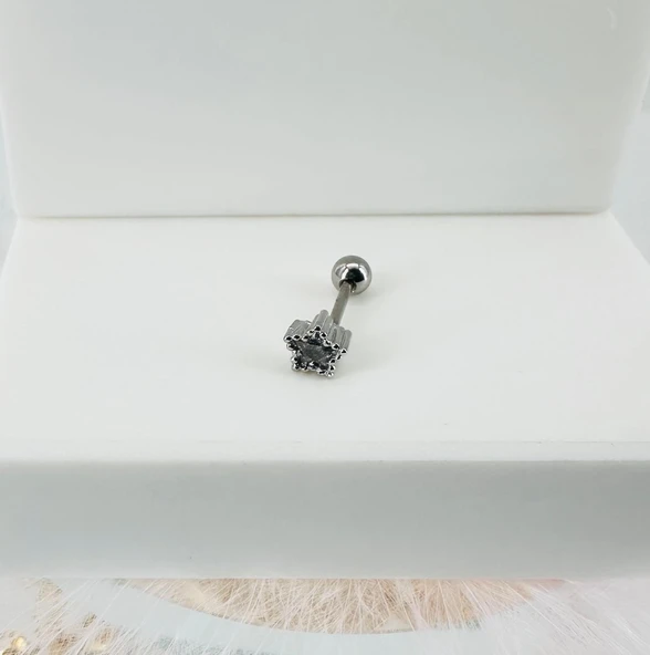 Rodyum Zirkon Taşlı Uç Kısmı : Pirinç Kıkırdak Bar Uzunluğu : 6 Mm / Bar Kalınlığı 0.8 Mm / Top Boyu 3 Mm - Pt0031 ürün görseli 1