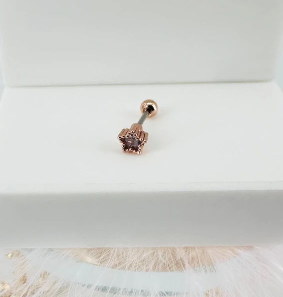 Zirkon Taşlı Uç Kısmı : Pirinç Kıkırdak Bar Uzunluğu : 6 Mm / Bar Kalınlığı 0.8 Mm / Top Boyu 3 Mm - Pt0031-2 ürün görseli 1