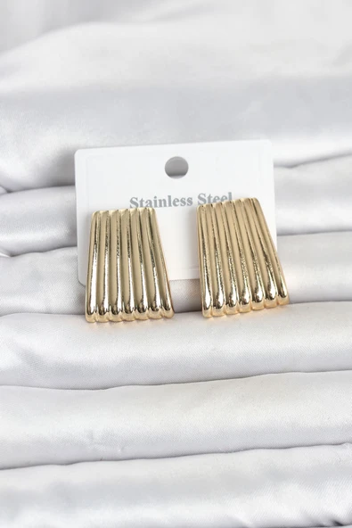 316L Çelik Gold Renk Çizgili Plaka Model Kadın Küpe ürün görseli 1