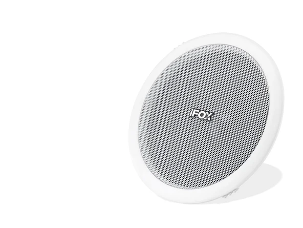Trafolu Tavan Hoparlör 10W 16 Cm Beyaz FX660 ürün görseli 1