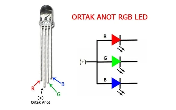 5 adet 5mm RGB Led (Ortak Anot) - Resim 3