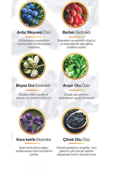 insunol Dİyabetik Macun 240 Gr - Resim 3